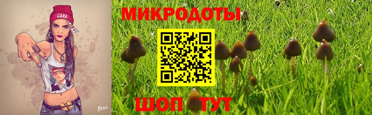Псилоцибиновые грибы ЛСД Кызыл