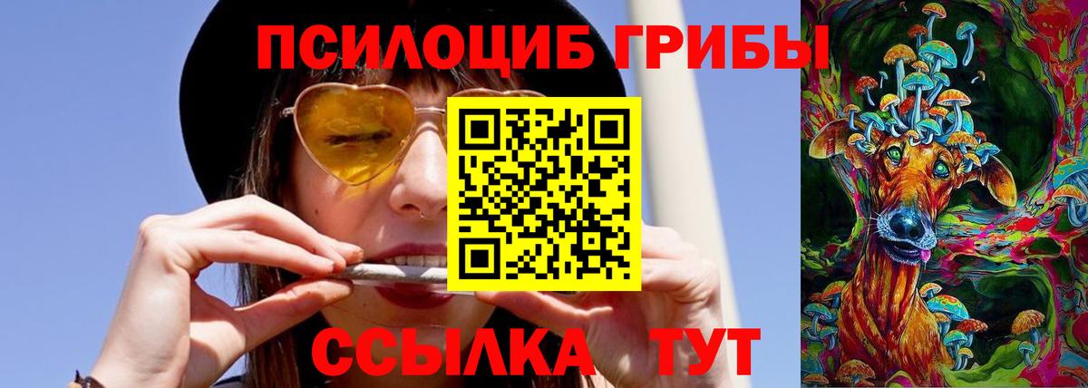 Галлюциногенные грибы GOLDEN TEACHER  Вход с VPN  Кызыл 